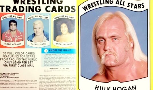 Pro Wrestling Trading Card Just Sold For A Staggering Amount Of Money