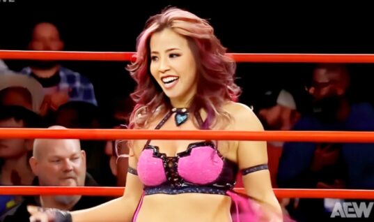 Mina Shirakawa Shows Off Her Battered Chest Following Collision Match