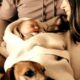 Wife Of Former WWE Talent Announces Birth Of Their First Child