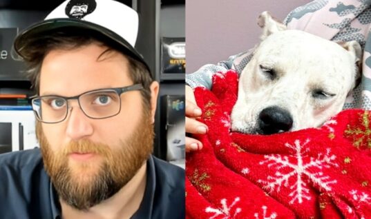 YouTuber Puts TNA’s Jordynne Grace On Blast For Using Her Unwell Dog For Content
