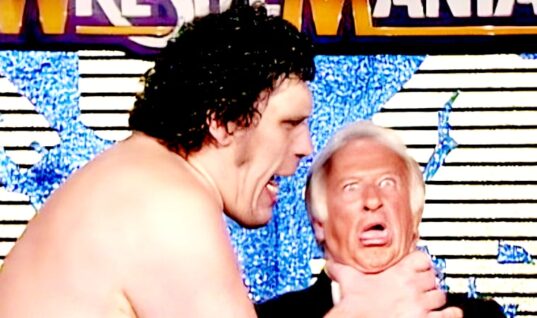 Celebrity Wing WWE Hall Of Famer Has Passed Away