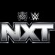 Previously Released WWE Talent Comments After Making His Return During NXT House Show