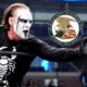 Sting Files Interesting Trademark Application