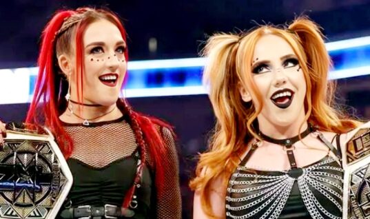 WWE Has Seemingly Released Another Wrestler