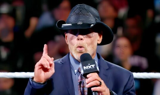 Former WWE Talent Reveals Shawn Michaels May Wrestle Again