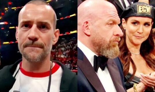 CM Punk May Have Let Slip That Triple H & Stephanie McMahon Are Divorced