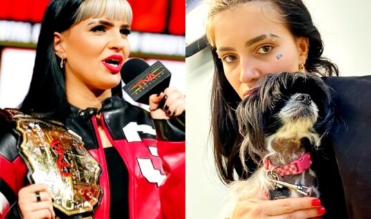 TNA’s Steph De Lander Selling Ring Worn Gear & Lingerie At Discounted Price For A Very Good Reason