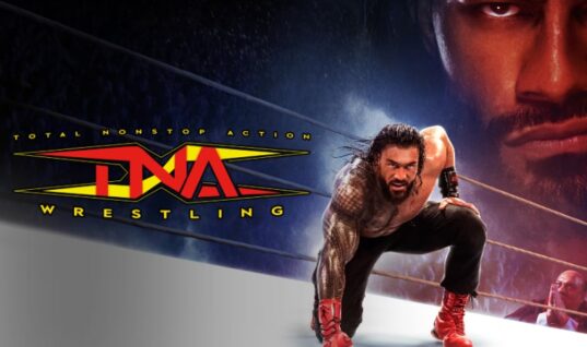 A Notable Former TNA Star Is Being Added To WWE 2K25