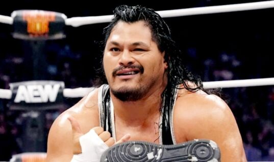 IWGP Tag Team Championships Vacated Due To New Japan Star Departing The Company