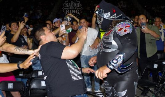 Former WCW Wrestler L.A. Park Punches Fan During Match (w/Video)
