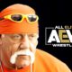 Two-Time WWE Hall Of Famer Hulk Hogan Comments On AEW & Tony Khan