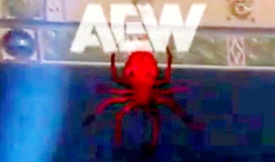 AEW Seemingly Teases The Signing Of International Wrestler