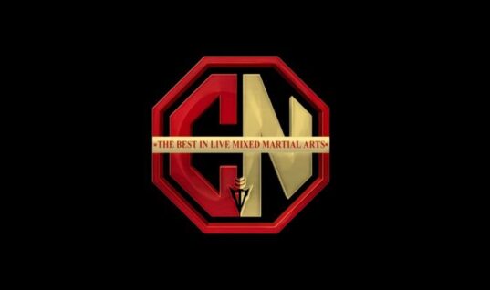 Former WWE Wrestler Wins Her Debut MMA Fight