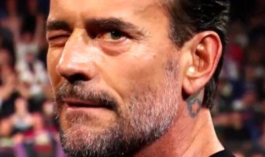 CM Punk Called A Hypocrite After Appearing In Night Of Champions Promotional Video