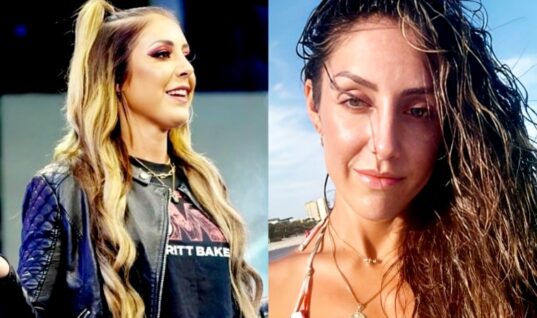 Dr. Britt Baker Shows Off Her Enviable Figure Amid WWE Speculation