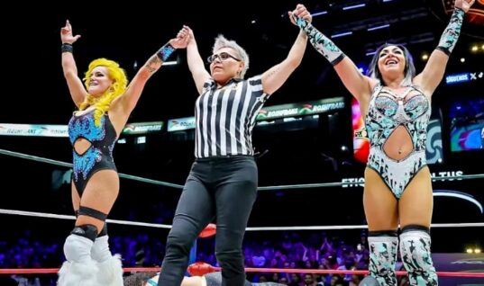 AEW Wrestler Asks Fans To Respect Her Privacy After Announcing She’s Gotten Divorced