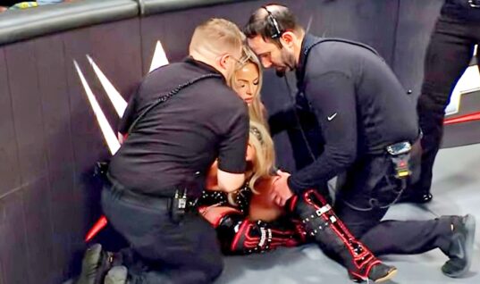 Unfortunate Update Shared Regarding Liv Morgan’s Injury Status