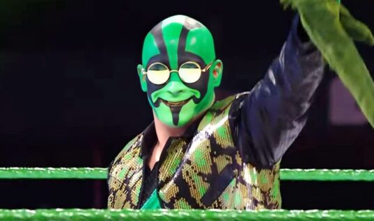 Where Mr. Iguana Could Be Appearing Next