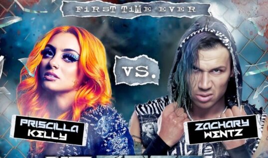 Gigi Dolin Takes To Social Media After Her First Match Back On The Indies Had To Be Stopped