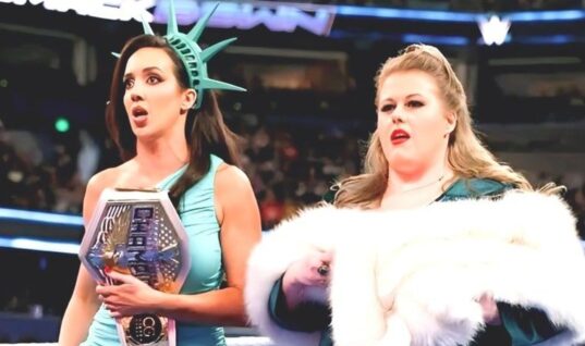 WWE Wrestler Takes Shot At UFC By Calling It “Fake” & “Gay”