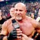 WWE Personality Puts Goldberg On Blast For His Post-Retirement Comments