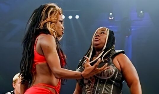 Former TNA Knockout Arrested In New York City