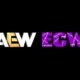 AEW Sold ECW-Inspired Merchandise At The 2300 Arena