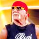 TMZ Reports Hulk Hogan’s Death Could Have Been Caused By Medical Malpractice