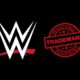 Former WWE Wrestler Moves To Cancel Company’s Trademark