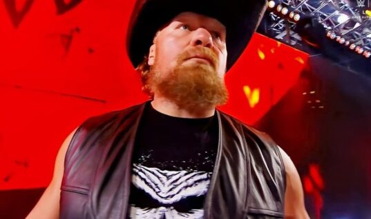 Brock Lesnar Makes Shock WWE Return At SummerSlam