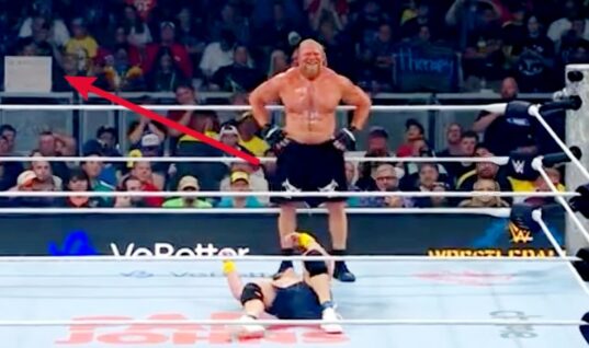 The Fan Sign WWE Tried To Hide At Wrestlepalooza Has Been Exposed