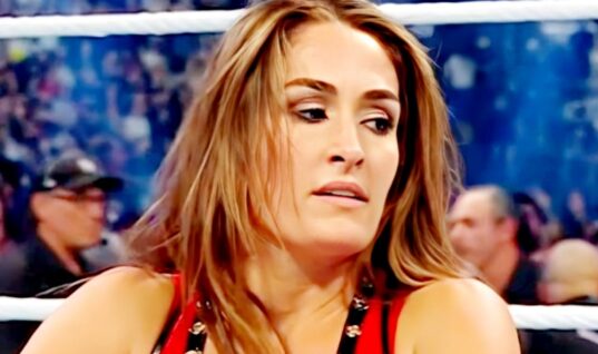 Nikki Bella Addresses The Claim She Only Wants To Date Younger Men Following Her Divorce