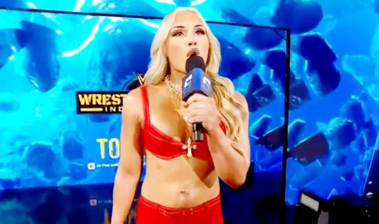 Confirmation Of Tiffany Stratton’s Injury Status Following Wrestlepalooza Match Postponement