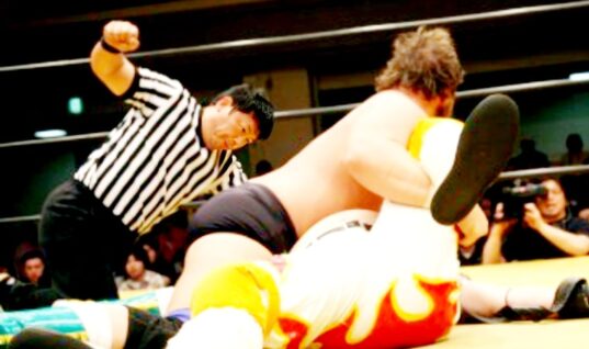 Beloved Japanese Referee Dies Following Bear Attack