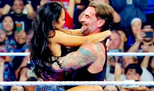 Fan Who Created AI-Generated AJ Lee Kissing Video Faces Consequences For His Actions