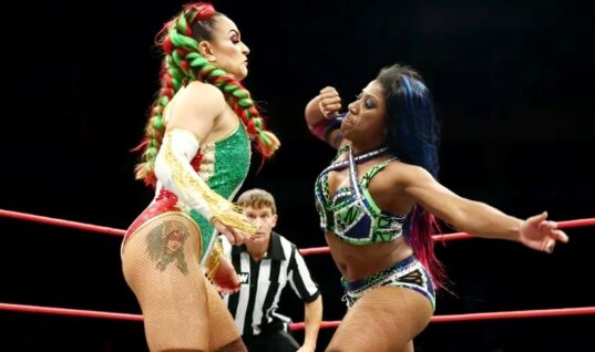 AEW Wrestler Announces Marriage Split