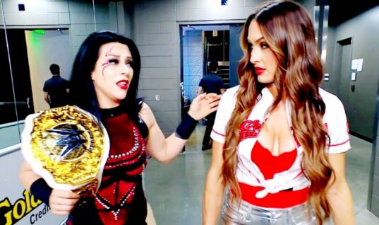 WWE Star Reveals She Now Has The Perfect Excuse To Get Larger Breast Implants