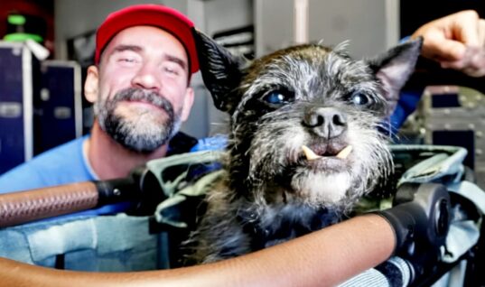 CM Punk Shares Devastating Larry News