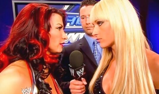 Retired WWE Diva Teases Making A Short Comeback Run