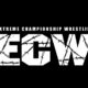 ECW Veteran Forced To Retire After 35 Years Due To Health Scare