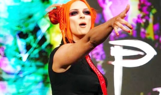 Former NXT Wrestler Calls Out Overzealous Fans For Crossing Serious Boundaries