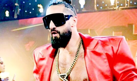 Seth Rollins Calls Two Controversial Wrestling Personalities “Jackasses”