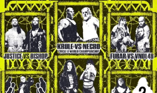 Former TNA Star Wrestles First Match Since Domestic Abuse Allegations