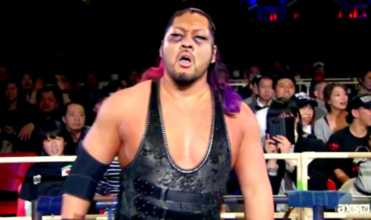 Former IWGP Heavyweight Champion Could Be WWE Bound