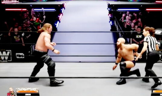 AEW Vice President Responsible for Shaping Fight Forever Video Game Exits Company