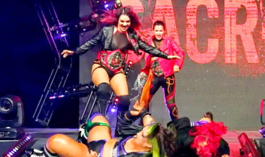 Former TNA Wrestler Shares More Information On Her Recent Departure 