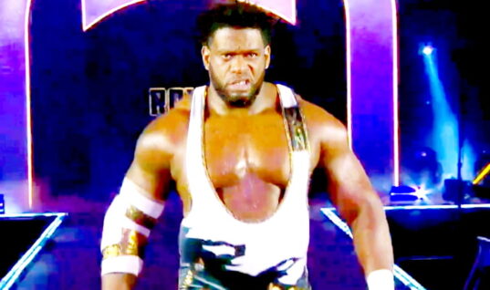 Former AEW Wrestler Makes WWE Debut With New Name During Royal Rumble Match