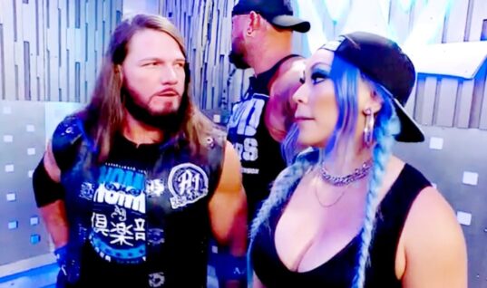 Why WWE Pulled Michin From Current Holiday Tour Has Been Revealed