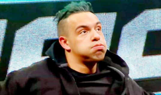 The Name Of The Vision’s Stalker Revealed