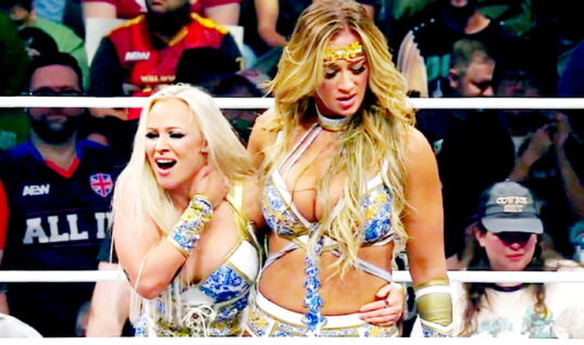 AEW Star Deactivates Her X Account